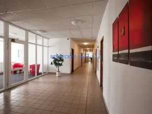 Pronájem kanceláře, Hradec Králové - Slezské Předměstí, Bieblova, 17 m2