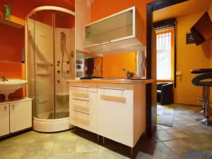 Pronájem bytu 1+kk, Praha - Žižkov, Blodkova, 20 m2