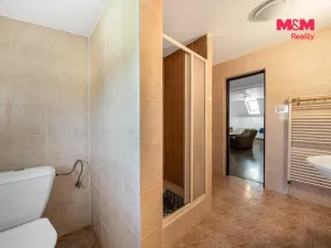 Prodej obchodního prostoru, Krásné Údolí, 220 m2