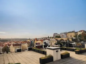 Pronájem bytu 2+kk, Praha - Vinohrady, Perucká, 40 m2