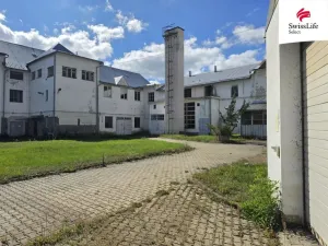 Pronájem výrobních prostor, Batelov, Tovární, 500 m2