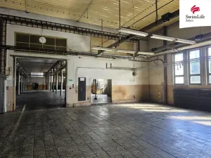 Pronájem výrobních prostor, Batelov, Tovární, 500 m2