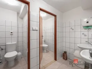 Prodej rodinného domu, Černý Důl, 487 m2