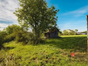 Prodej pozemku, Pňovany, 1312 m2