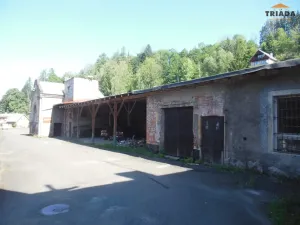 Prodej výrobních prostor, Stružinec, 10029 m2