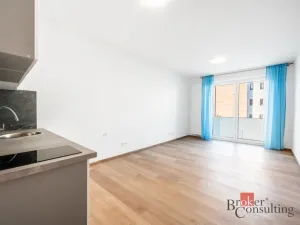 Pronájem bytu 1+kk, Olomouc - Nová Ulice, Třída Jiřího Pelikána, 31 m2