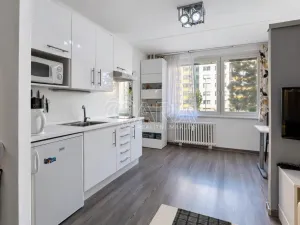 Prodej bytu 1+1, Praha - Chodov, Brodského, 29 m2