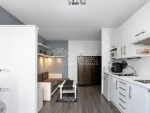 Prodej bytu 1+1, Praha - Chodov, Brodského, 29 m2