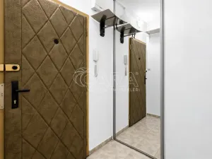 Prodej bytu 1+1, Praha - Chodov, Brodského, 29 m2