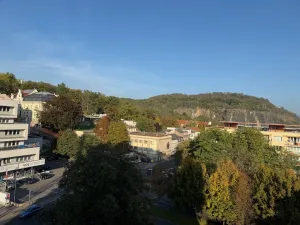 Pronájem bytu 1+kk, Ústí nad Labem, Velká Hradební, 30 m2