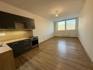 Pronájem bytu 1+kk, Ústí nad Labem, Velká Hradební, 30 m2