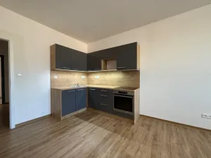 Pronájem bytu 1+kk, Ústí nad Labem, Velká Hradební, 30 m2