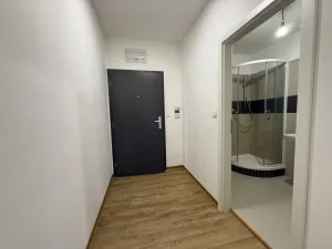 Pronájem bytu 1+kk, Ústí nad Labem, Velká Hradební, 30 m2