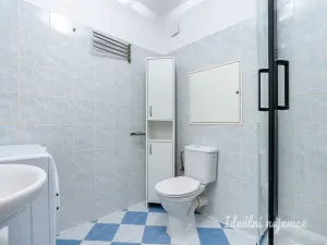 Pronájem bytu 1+kk, Stochov, S. K. Neumanna, 38 m2