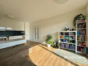 Pronájem bytu 3+kk, Brno, Rybnická, 62 m2