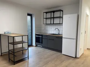 Pronájem bytu 2+kk, Brno, Sovinec, 42 m2