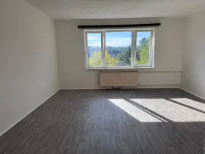 Prodej bytu 1+kk, Zruč nad Sázavou, Mládeže, 33 m2