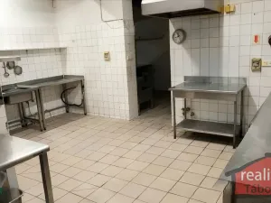 Prodej komerční nemovitosti, Nupaky, Nupacká, 241 m2