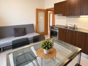 Pronájem bytu 1+1, Praha - Vršovice, Sportovní, 38 m2