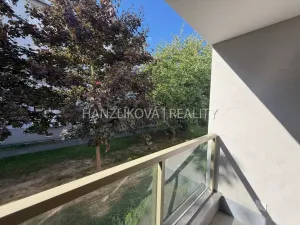 Pronájem bytu 2+kk, České Budějovice, Hálkova, 36 m2