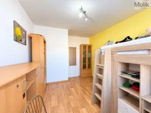 Pronájem bytu 3+1, Most, Františka Malíka, 68 m2
