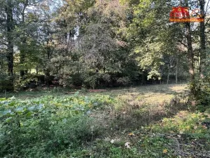 Prodej komerční nemovitosti, Hořičky - Chlístov, 1200 m2