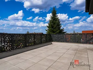 Prodej vily, Plzeň - Červený Hrádek, Borůvková, 316 m2