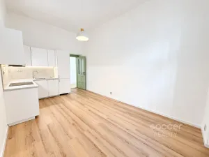 Pronájem bytu 2+kk, Praha - Vinohrady, Nitranská, 54 m2