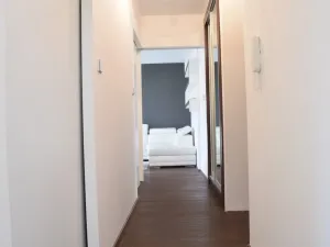 Pronájem bytu 2+kk, Ostrava - Poruba, Opavská, 52 m2
