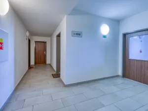 Prodej bytu 2+1, Plzeň, U Borských kasáren, 57 m2