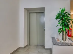 Prodej bytu 2+1, Plzeň, U Borských kasáren, 57 m2