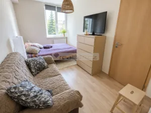 Prodej bytu 2+kk, Plzeň - Severní Předměstí, Elišky Krásnohorské, 67 m2
