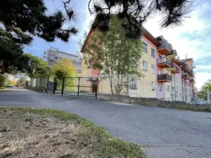Prodej bytu 2+kk, Plzeň - Severní Předměstí, Elišky Krásnohorské, 67 m2
