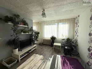 Pronájem bytu 1+1, Most, K. H. Borovského, 26 m2