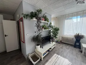 Pronájem bytu 1+1, Most, K. H. Borovského, 26 m2