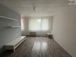 Pronájem bytu 1+1, Most, K. H. Borovského, 26 m2