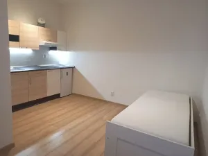 Pronájem bytu 1+kk, Brno, Vlhká, 23 m2