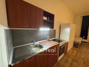 Pronájem bytu 1+kk, Brno - Veveří, 32 m2