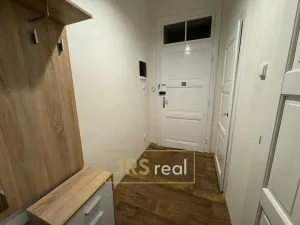 Pronájem bytu 1+kk, Brno - Veveří, 32 m2