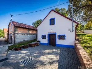 Prodej vinného sklepa, Domanín, 90 m2