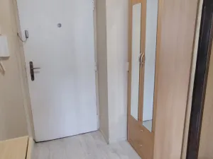 Pronájem bytu 1+1, Bohutín - Vysoká Pec, 34 m2