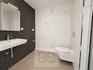 Pronájem bytu 1+kk, Olomouc, Třída Jiřího Pelikána, 35 m2