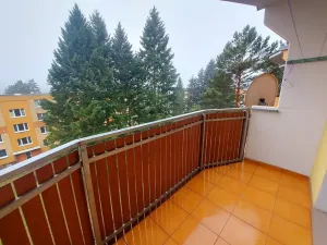 Pronájem bytu 1+1, Tišnov, Květnická, 35 m2