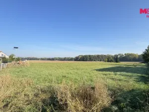 Prodej pozemku, Horka nad Moravou, 4784 m2