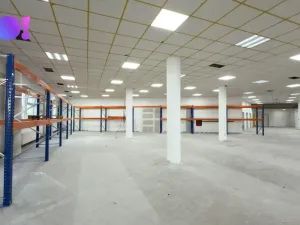 Pronájem obchodního prostoru, Karviná, Jaroslava Vrchlického, 1450 m2
