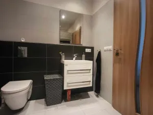 Pronájem bytu 2+kk, České Budějovice, B. Smetany, 49 m2