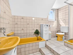 Prodej rodinného domu, Janovice nad Úhlavou, Spartakiádní, 370 m2