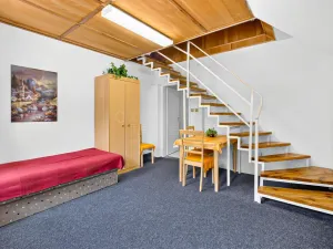Prodej rodinného domu, Janovice nad Úhlavou, Spartakiádní, 370 m2