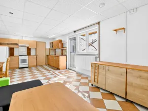 Prodej rodinného domu, Janovice nad Úhlavou, Spartakiádní, 370 m2