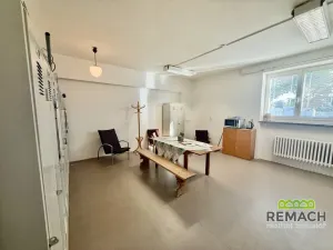 Pronájem výrobních prostor, Uherský Brod, U Korečnice, 600 m2